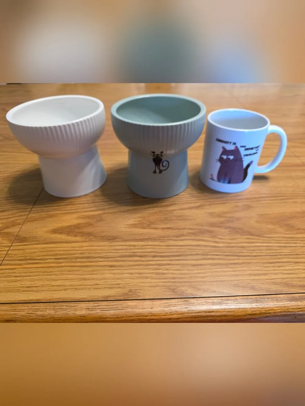 Two Ceramic Cat Raised Food Bowls And Cat Coffee Cup
